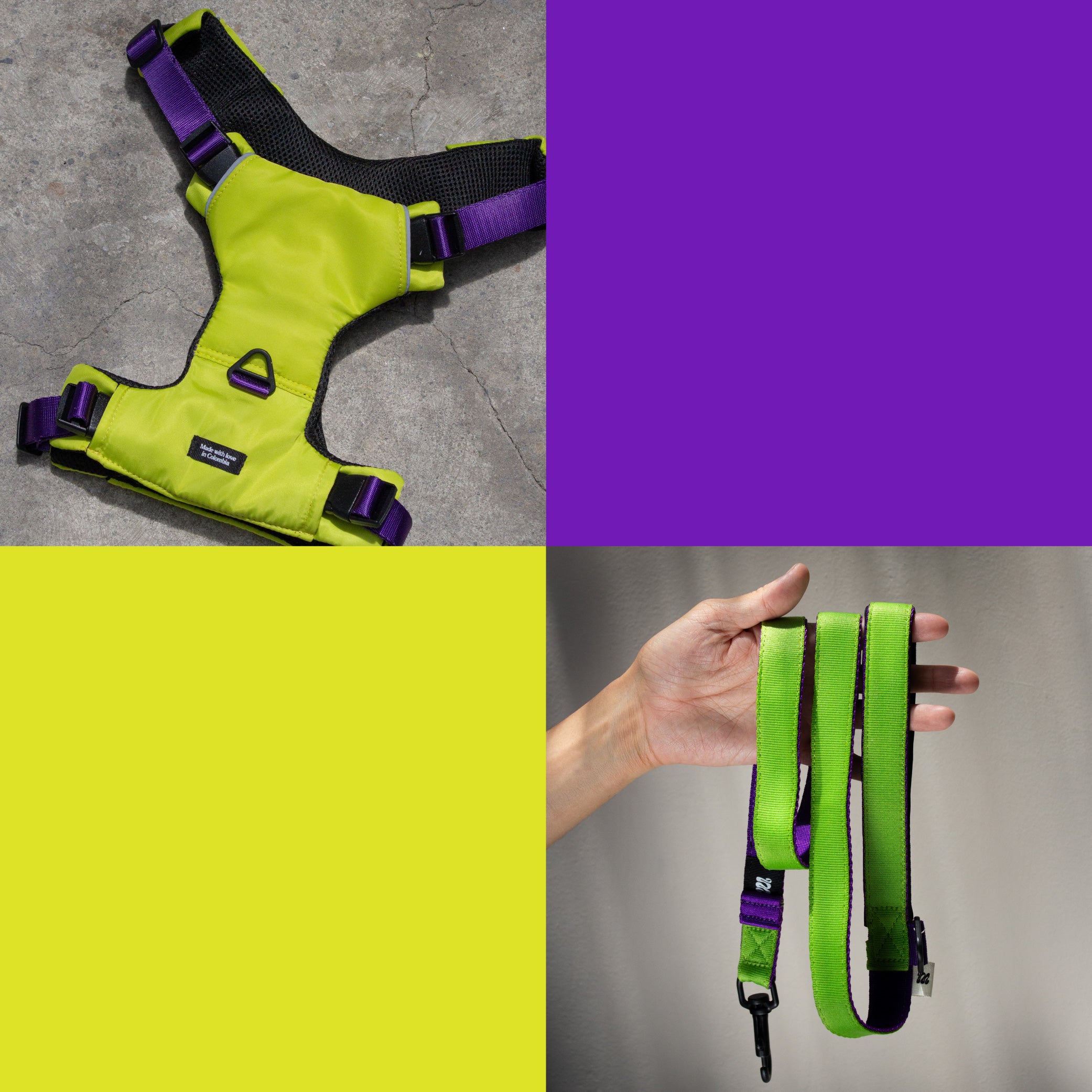 Set The Buzz Pro - Pechera + Correa