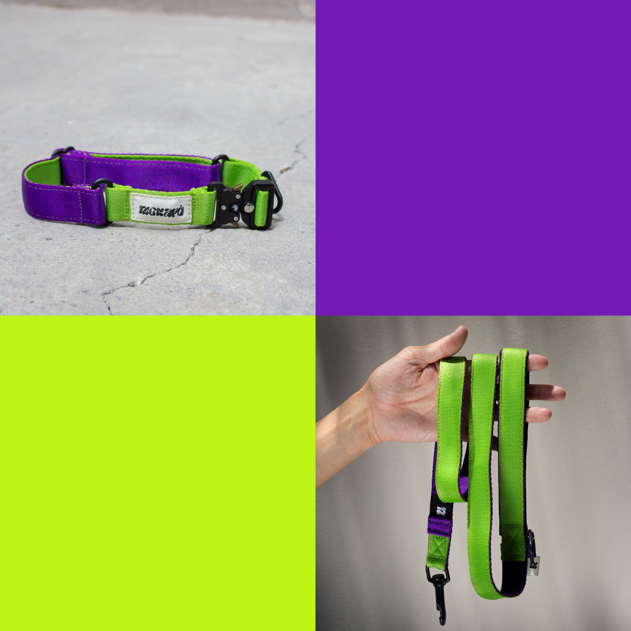 Set The Buzz - Collar + Correa