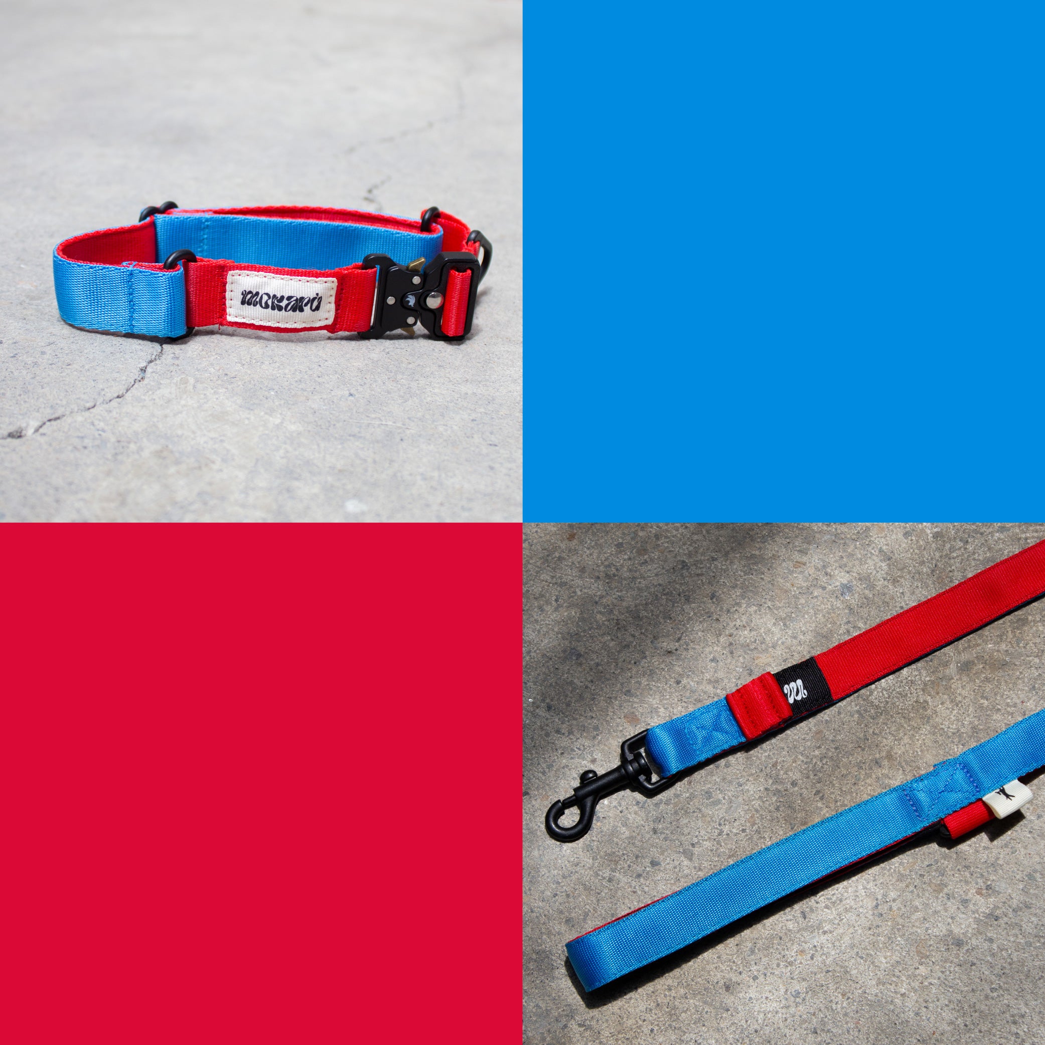Set The Hero - Collar + Correa