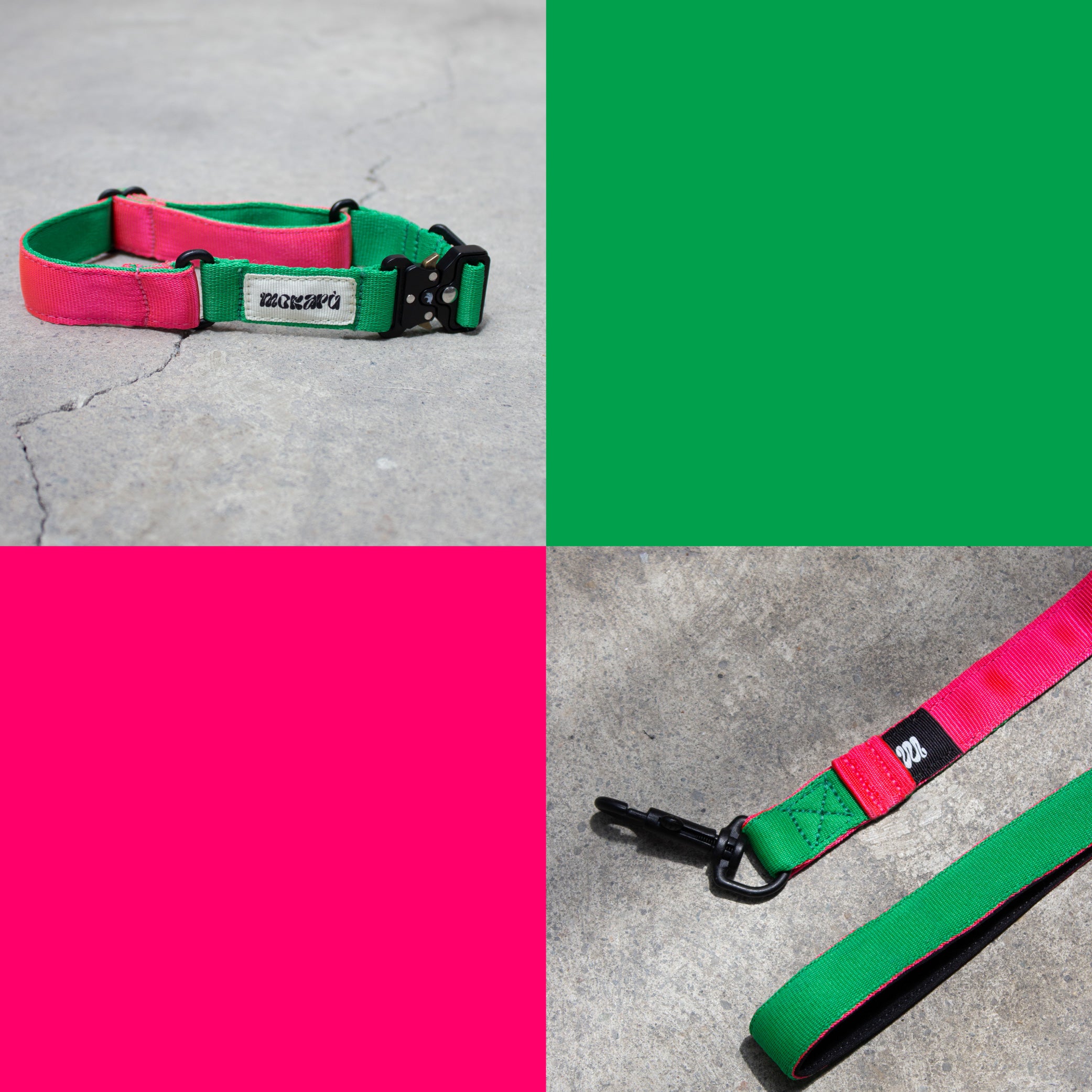 Set The Power Puff - Collar + Correa