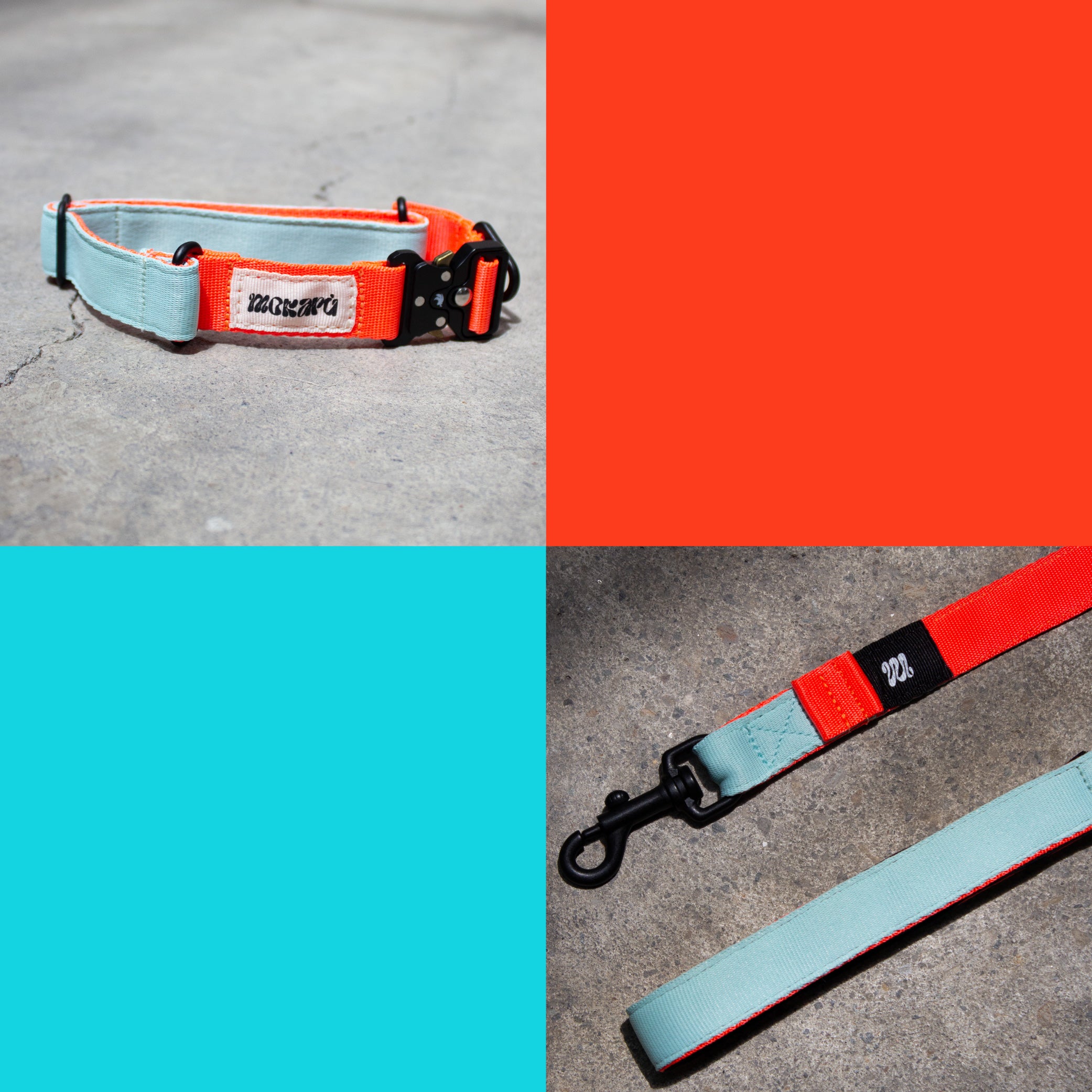 Set The Stone - Collar + Correa