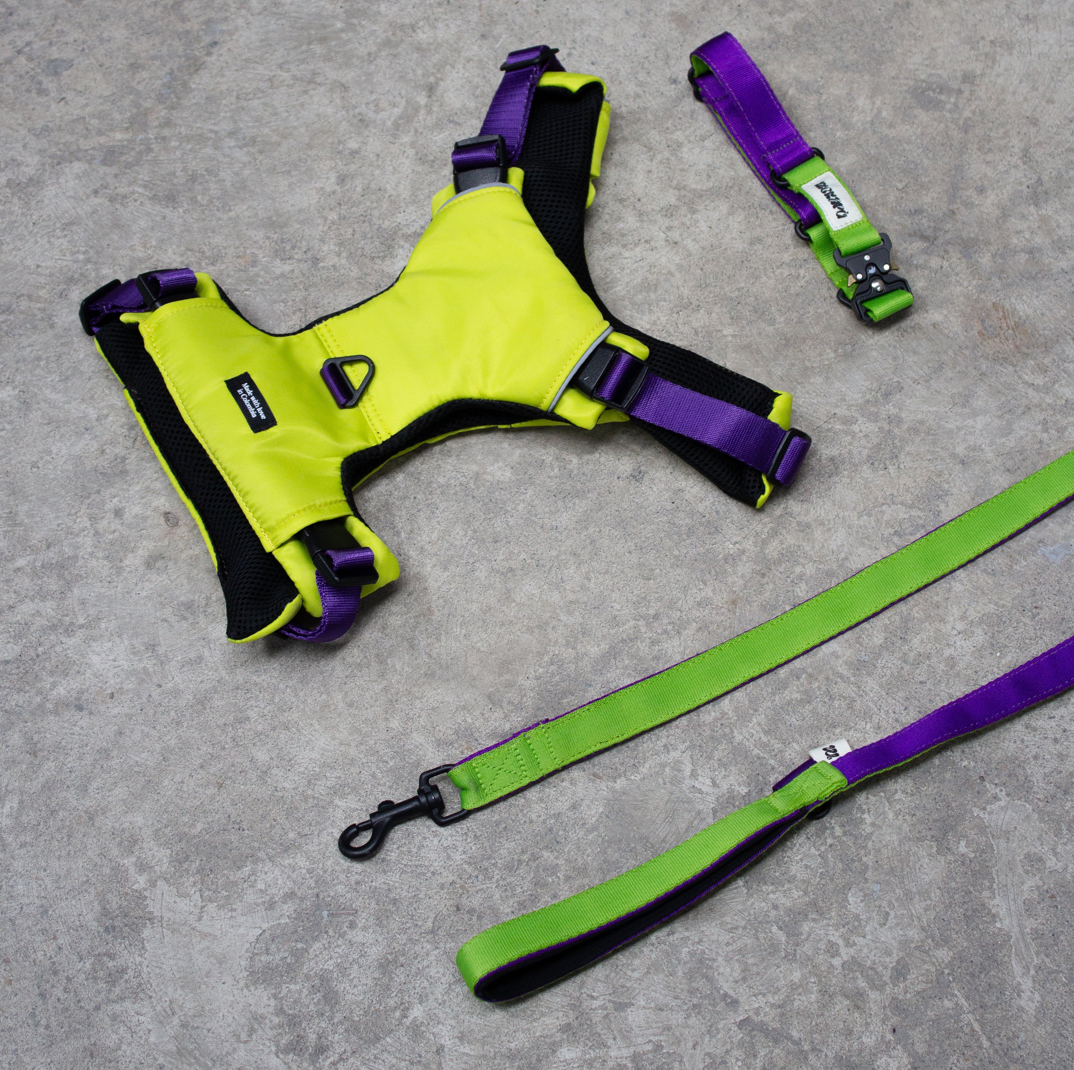 Set The Buzz Max - Pechera + Collar + Correa
