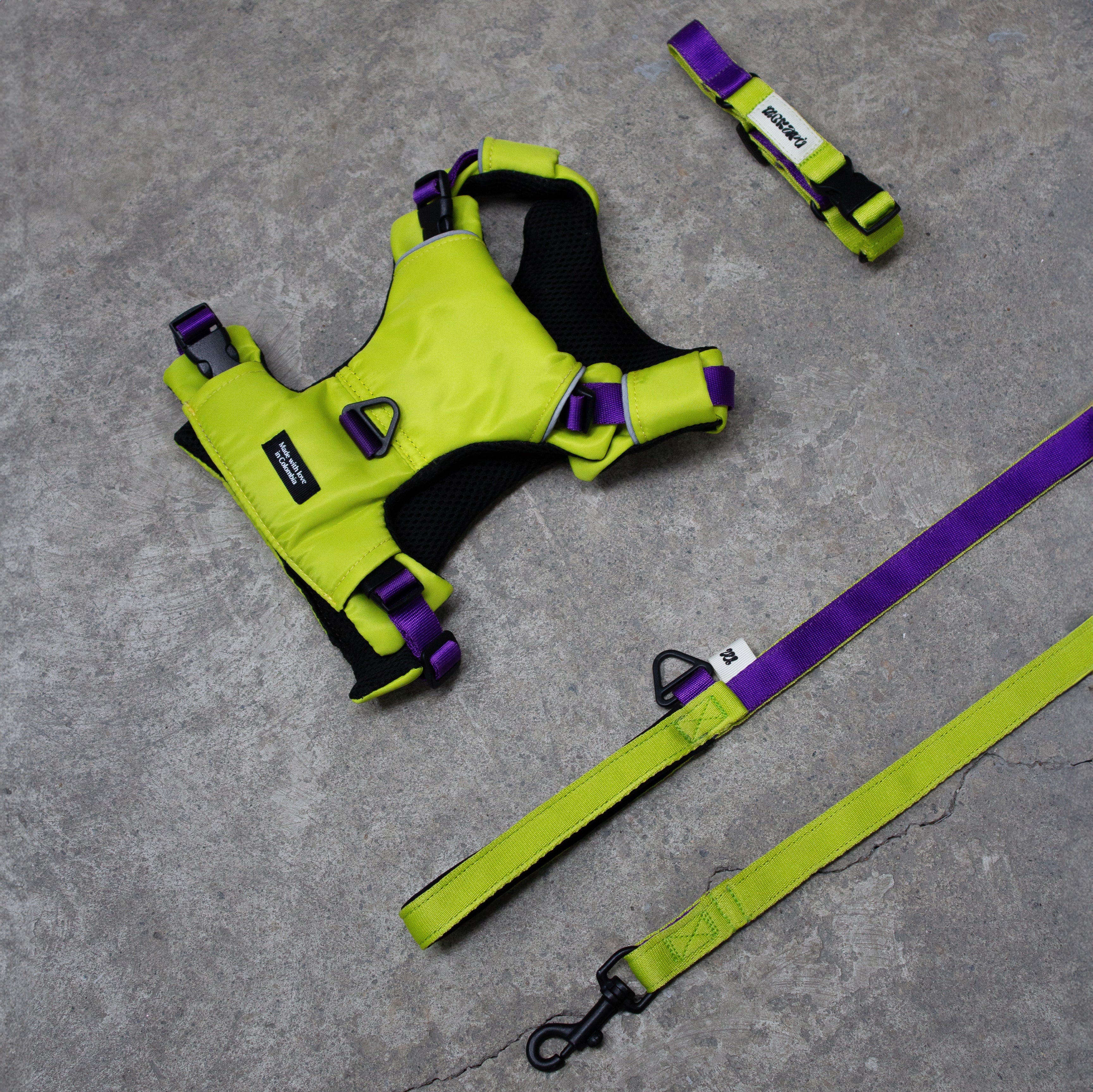 Set The Buzz Max - Pechera + Collar + Correa