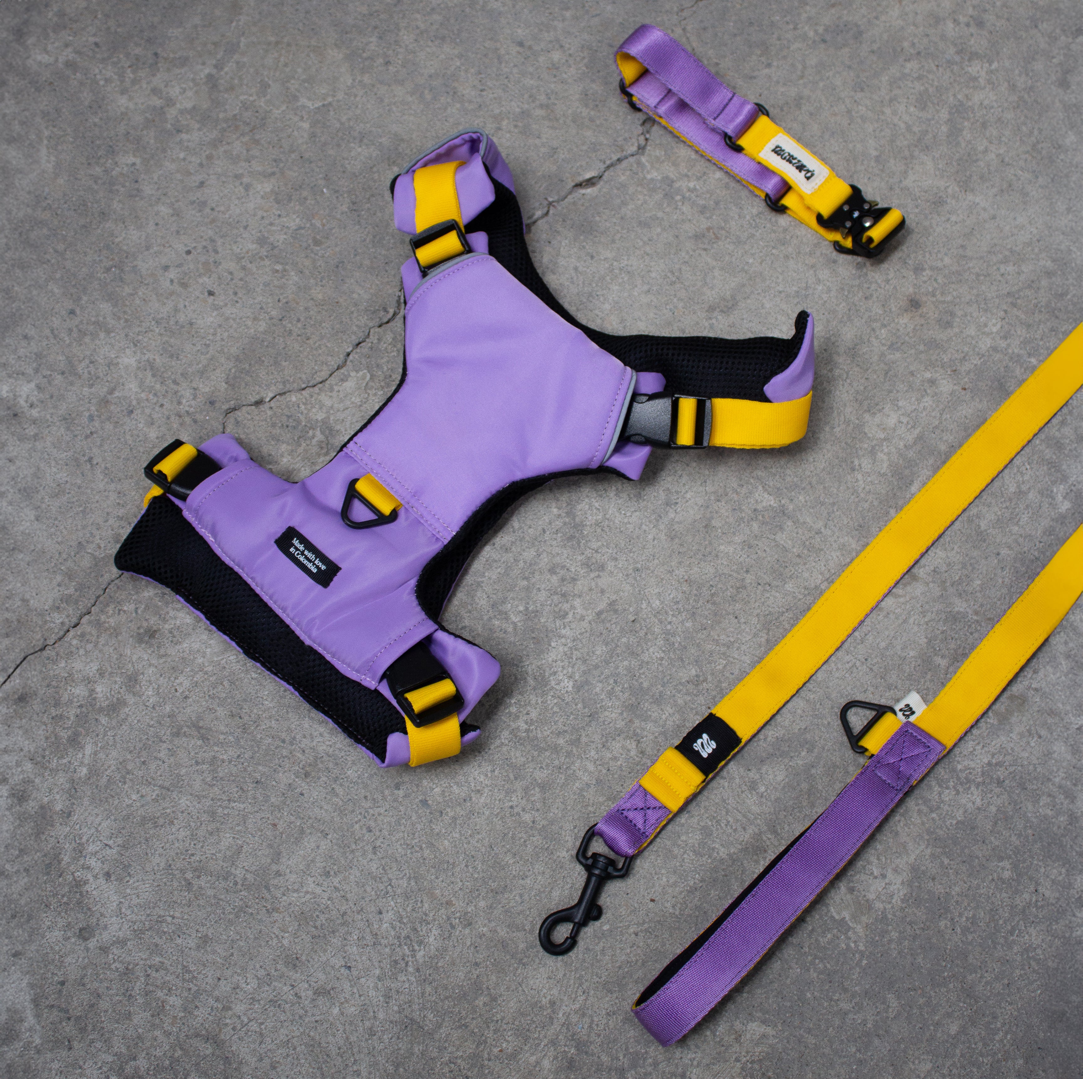 Set The Gang Max - Pechera + Collar + Correa