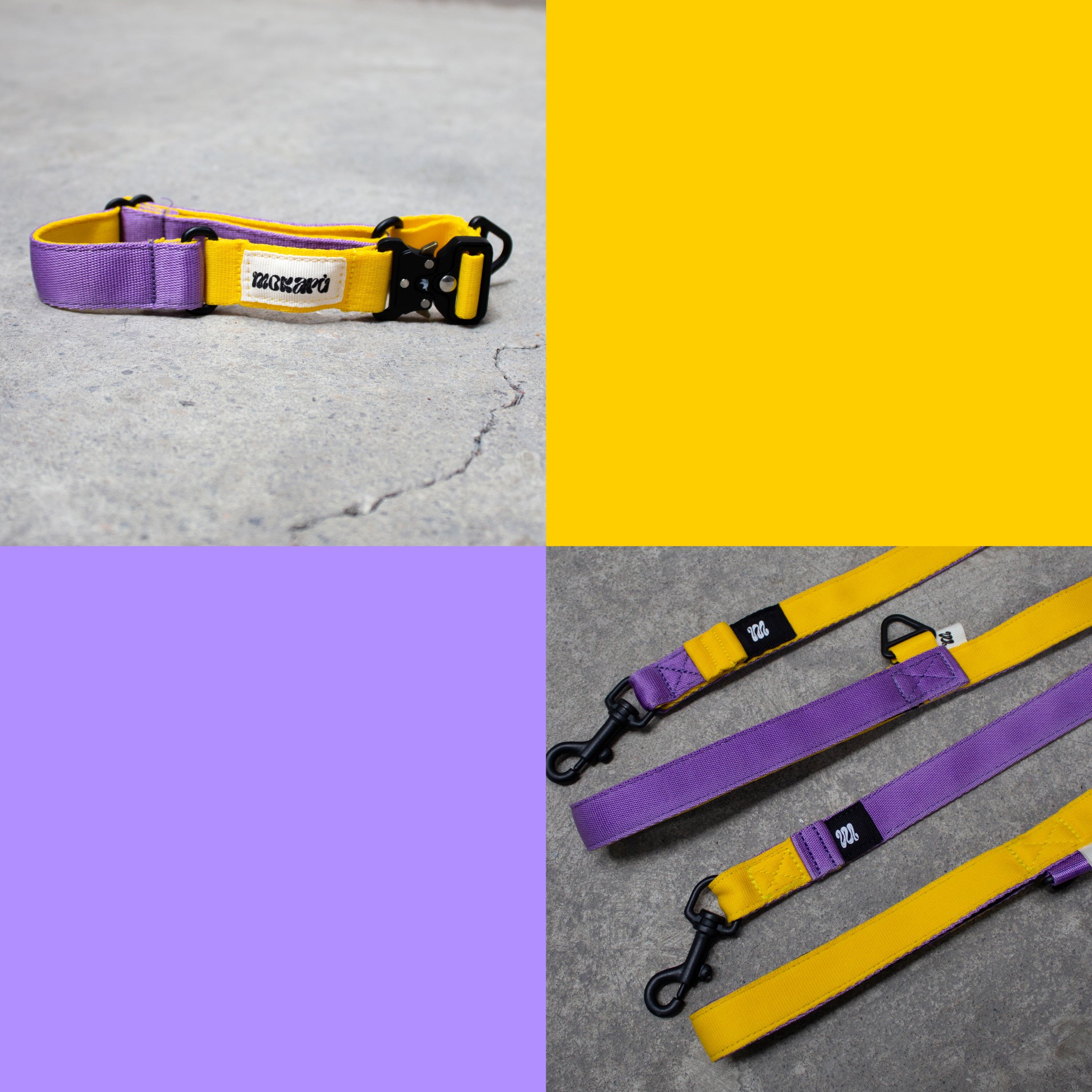 Set The Gang - Collar + Correa
