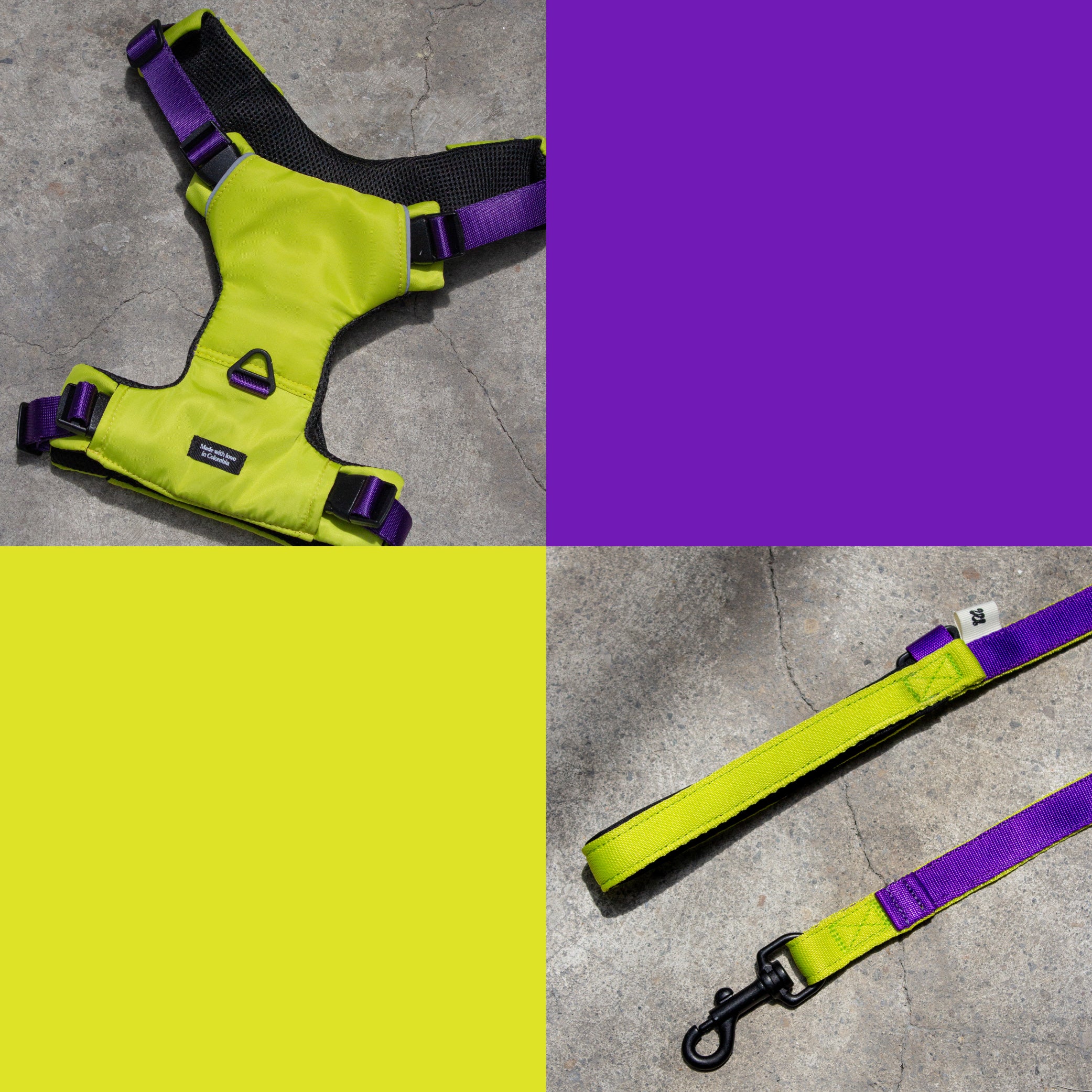 Set The Buzz Pro - Pechera + Correa