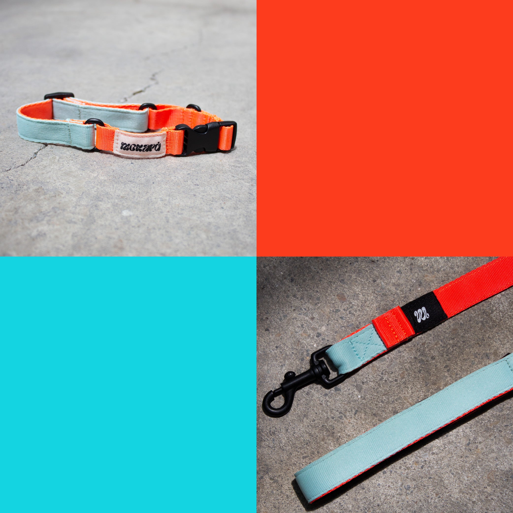 Set The Stone - Collar + Correa