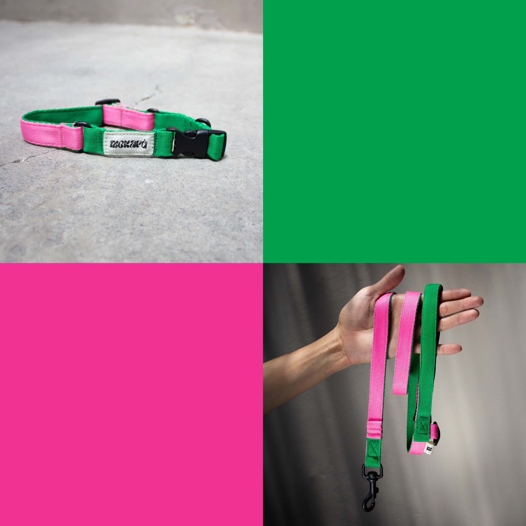 Set The Power Puff - Collar + Correa