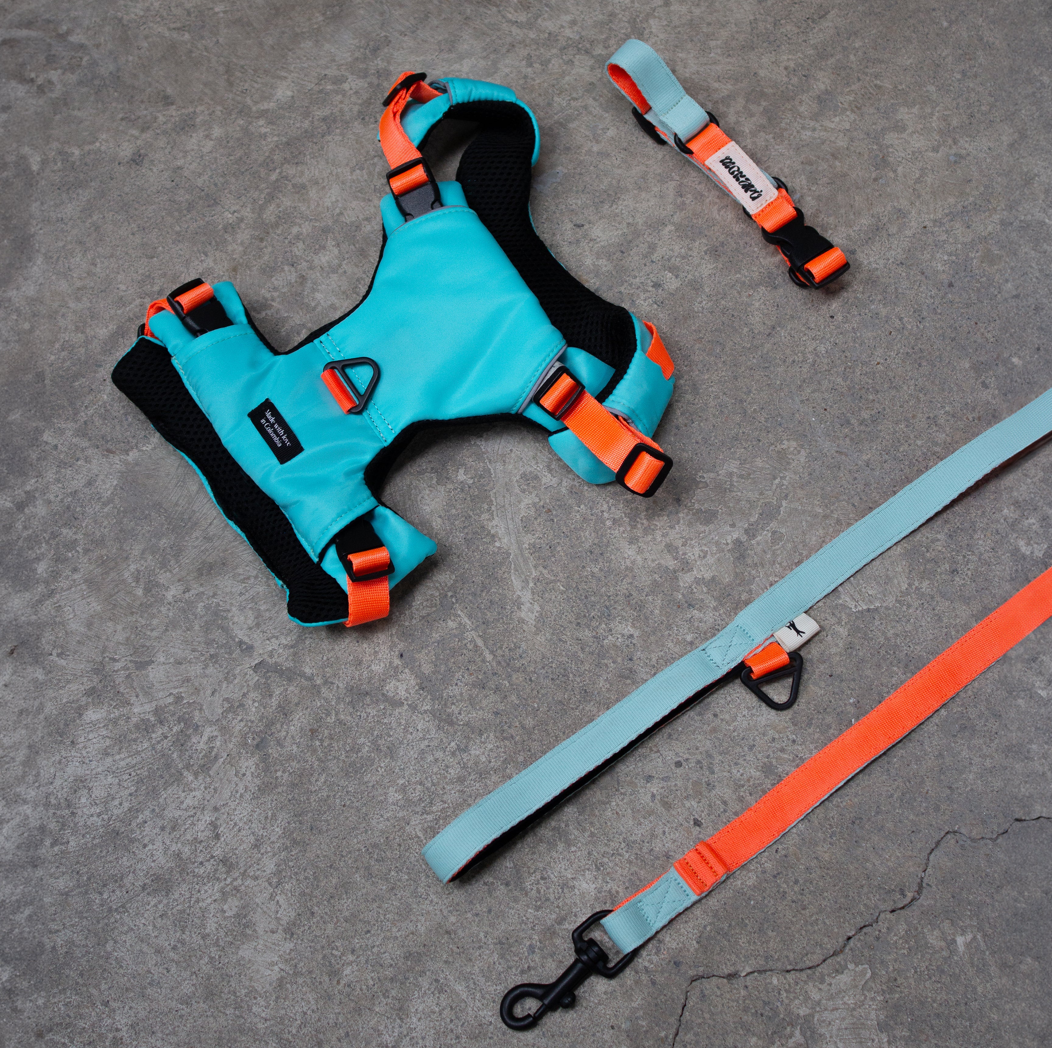 Set The Stone Max - Pechera + Collar + Correa